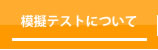 模擬テストについて